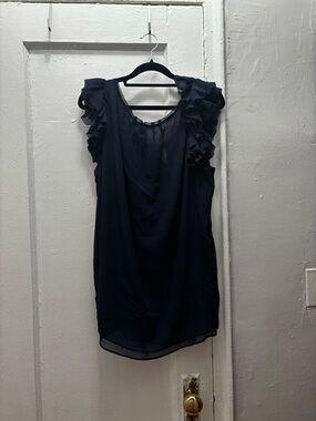 Banana Republic Navy Ruffle Sleeve Mini Dress